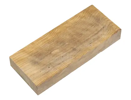 Oliva 44