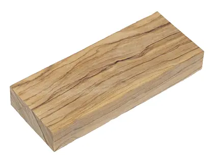 Oliva 24