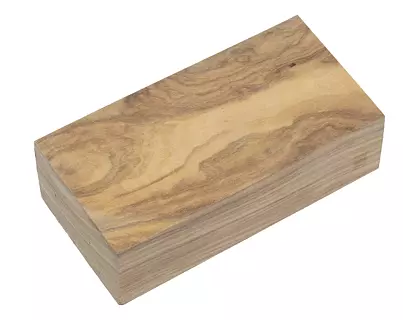 Oliva 20