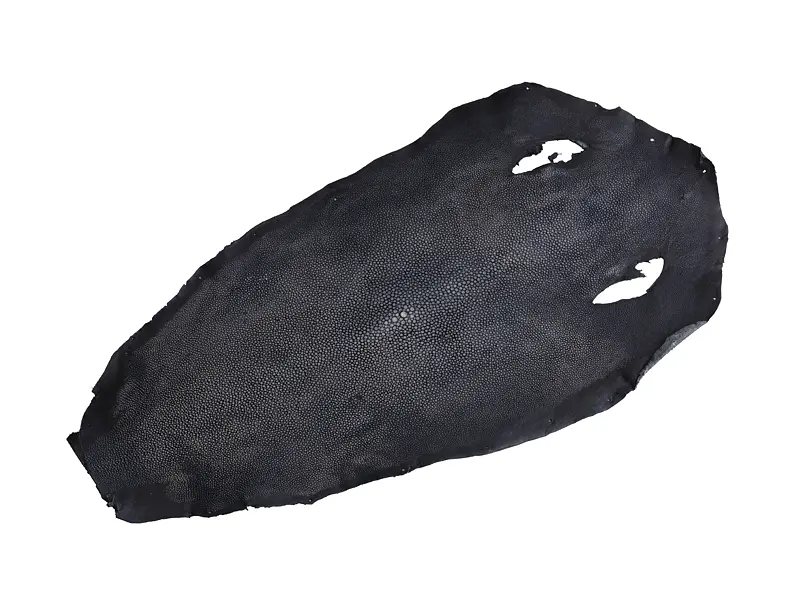 Rejnočí kůže 01